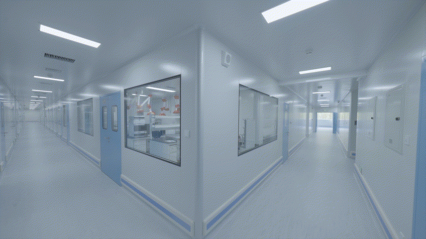 xc sports(中国区)-官方网站