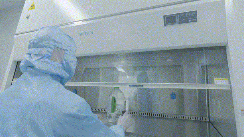 xc sports(中国区)-官方网站