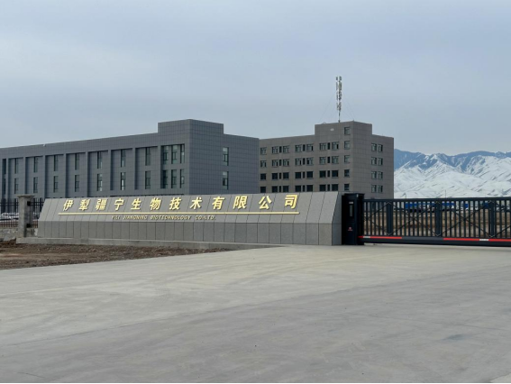 xc sports(中国区)-官方网站