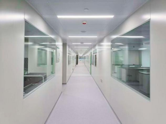 xc sports(中国区)-官方网站