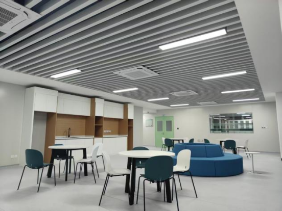 xc sports(中国区)-官方网站