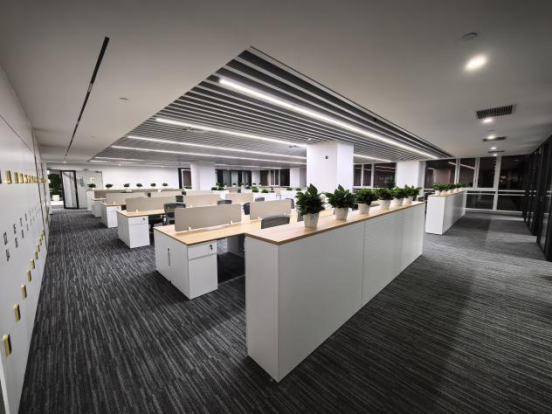 xc sports(中国区)-官方网站