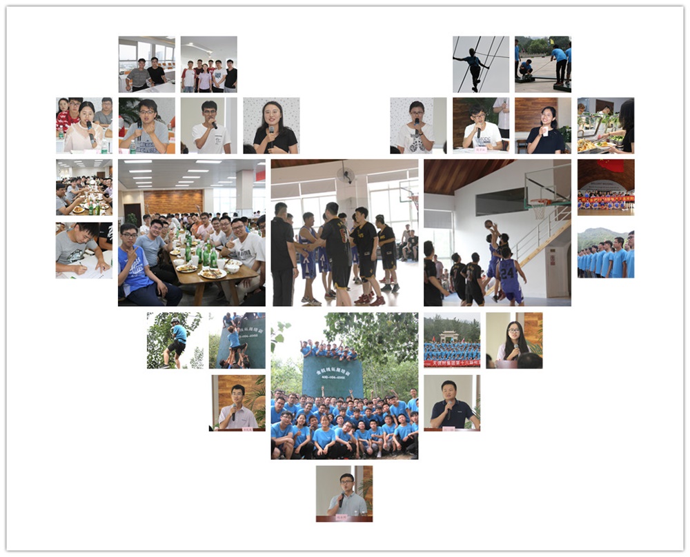 xc sports(中国区)-官方网站